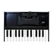 Roland K-25m Keyboard for Roland Boutique Series