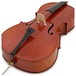 Westbury Intermediate Cello Outfit, 7/8 Size, Tailpiece
