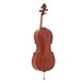 Westbury Intermediate Cello Outfit, 7/8 Size, Back