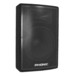 Phonic aSK10 Passive Stage Speaker/Floor Monitor