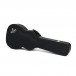 Sigma 00-12th fret Acoustic Guitar Case