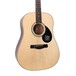 Greg Bennett GD-100S Acoustic Guitar, Natural