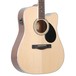 Greg Bennett GD-100SCE Electro-Acoustic Guitar, Natural