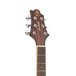 Greg Bennett D-5CE Electro Acoustic Guitar, Natural