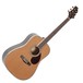 Greg Bennett D-8 Acoustic Guitar, Cedar