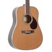 Greg Bennett D-8 Acoustic Guitar, Cedar