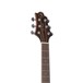 Greg Bennett D-8 Acoustic Guitar, Cedar