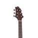 Greg Bennett D-8CE Electro Acoustic Guitar, Cedar