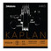 D'Addario Kaplan Amo Violin D String, 4/4 Size, Light