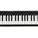 Korg microKey 49 Key USB Controller Keyboard 