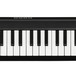 Korg microKey 37 Key USB Controller Keyboard 