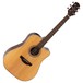 Takamine GD20CE-NS Electro Acoustic Guitar, Natural