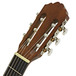 Greg Bennett CNG1 Classical Guitar, Mahogany