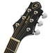 Greg Bennett OM-5 Acoustic Guitar, Black