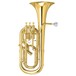 Yamaha YBH621 Professional Baritone Horn, Gold