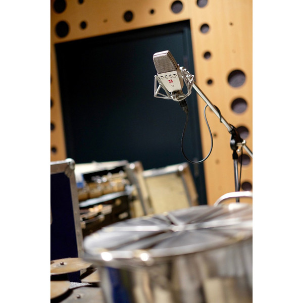 sE Electronics sE-T2 Microphone - In Action 2