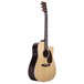 Martin DCPA4 Performing Artist Electro Acoustic, Rosewood