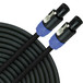 Monster SP1000 Speakon Speaker Cable 25ft