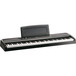 Korg SP-170S Compact Piano, Black with Stand