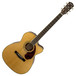 Fender PM-3 Standard 