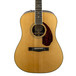 Fender PM-1 Deluxe Front Close