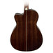 Fender PM-3 Deluxe Back Close