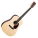 Martin DX1RAE Electro-Acoustic Guitar