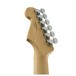 American Elite Stratocaster, Sky Burst