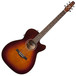 Seagull Guitars Performer CW Concert Hall Burnt Umber Q1T w/bag