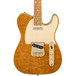 Fender Custom Shop Artisan Telecaster, Figured Mahogany