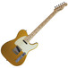 Fender Custom Shop Danny Gatton Signature Telecaster, Frost Gold