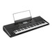 Korg PA300 Professional Keyboard