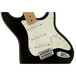 Fender Standard Stratocaster MN, Black