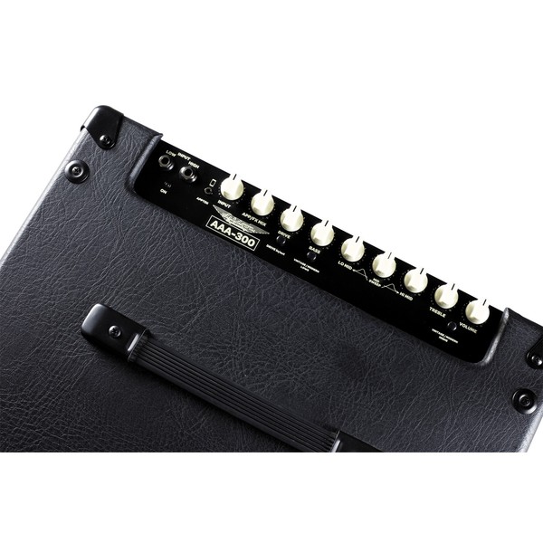 Ashdown AAA-300 EVO-210T Lightweight 300w 2 x 10" Bass Amp Combo