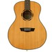 Washburn WLO11S Electro Acoustic Guitar, Cedar