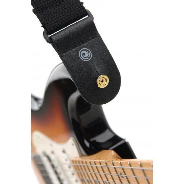 Planet Waves Solid Brass End Pins - Brass (Pair)