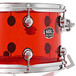 Natal Arcadia 4 Piece Acrylic Shell Pack, Transparent Red