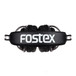 Fostex TR90 Professional Semi Open Headphones, 250 ohm
