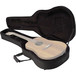 SKB SC18 Dreadnought Acoustic Soft Case, EPS Foam - Open 2 (Guitar Not Included)