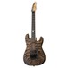 ESP LTD George Lynch Burnt Tiger Electric Guitar