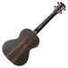 Kala KA-EBY-TE Electro-Acoustic Tenor Ukulele, Natural Satin Back