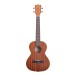 Kala KA-T Tenor Ukulele