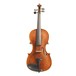 Stentor Arcadia Violin With Case and Bow, 4/4