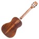 Kala KA-ASAC-B Acacia Acoustic Baritone Ukulele, Natural Satin Back