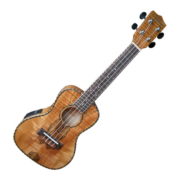 Freshman UKMAPLECE Concert Electro Acoustic Ukulele, Spalted Maple