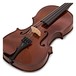Stentor Student 1 Violin Outfit, 1/8 close