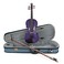 Stentor harlekýn husle Outfit, Deep Purple, 1/4