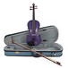 Stentor Harlequin violino con attrezzatura, Deep Purple, misura 1/4