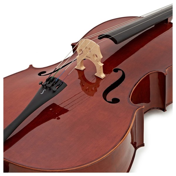 Stentor Conservatoire Cello Outfit, 3/4, Front