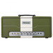 Marshall Astoria Classic AST1H 30W Head, Green and Cream